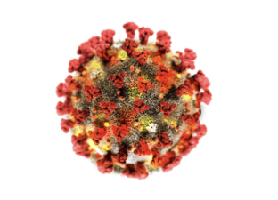 Das Coronavirus