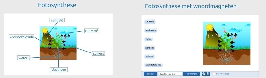  Fotosynthese