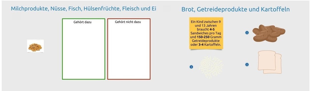 Die Ernährungsscheibe