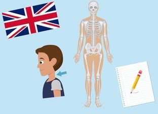 Engelse les ‘Het menselijk lichaam’