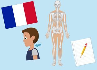 Franse les ‘Het menselijk lichaam’