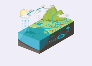 De waterkringloop