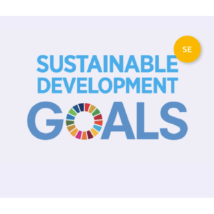 SDG lesson series - Secondary 