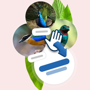 MOVE-update Mai 2021