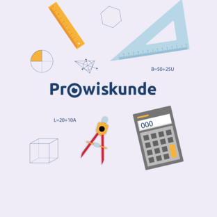 Leerlijn Wiskunde leerjaar 1 Havo/VWO