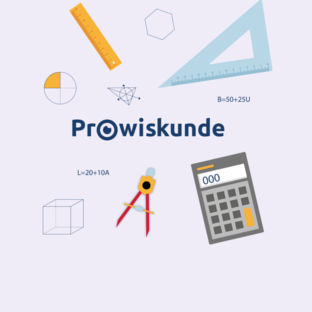 Leerlijn Wiskunde leerjaar 2 Havo/VWO