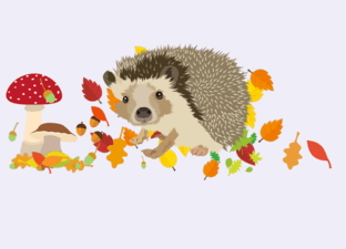 Der Igel