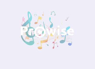 Prowise Soundbox
