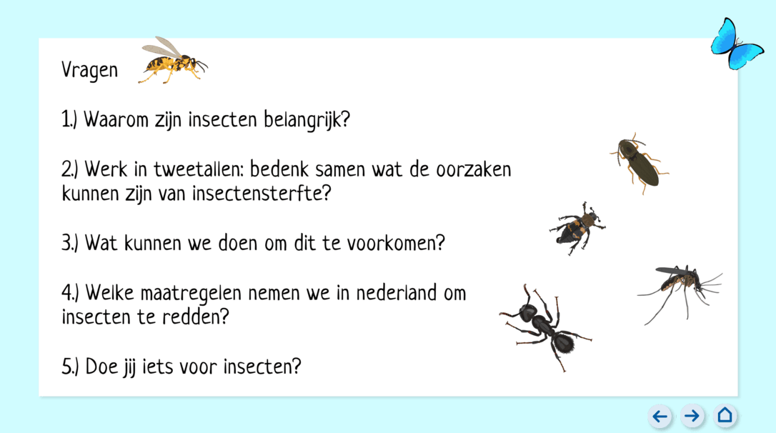 Insecten