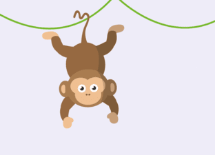 Début de la journée – Thème jungle