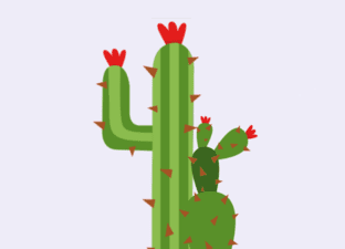 Début de la journée – Thème : le cactus