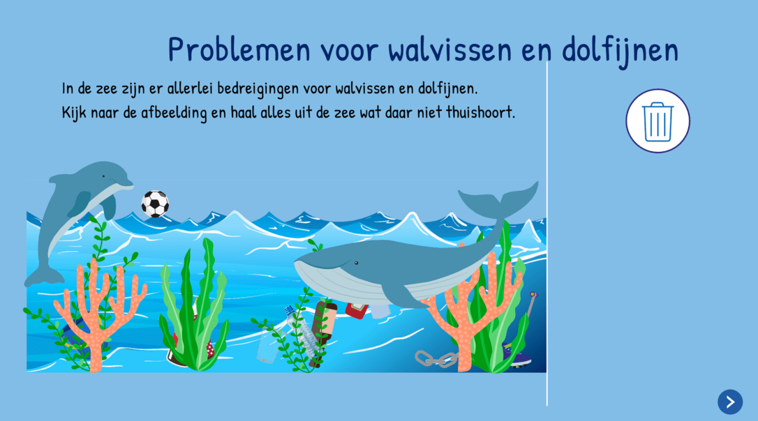 Walvissen en Dolfijnen