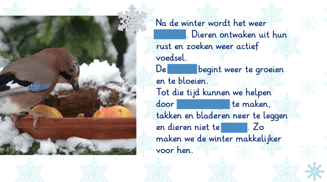 Dieren in de winter