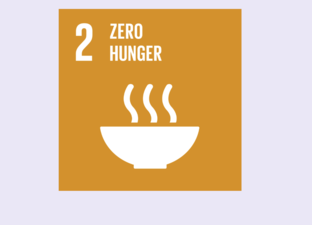 SDG 2 - Zero Hunger 