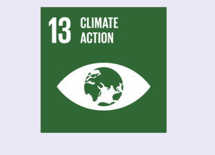 SDG 13 - Climate action