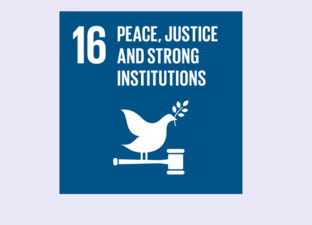 SDG 16 - Peace, justice & strong institutions