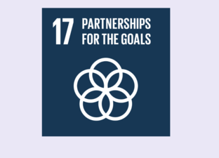 SDG 17 - Partnerships for the goals
