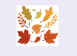 Autumn starter activities